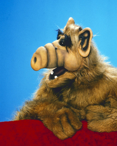 Picture of ALF