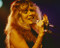 Picture of Stevie Nicks