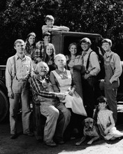 Picture of The Waltons