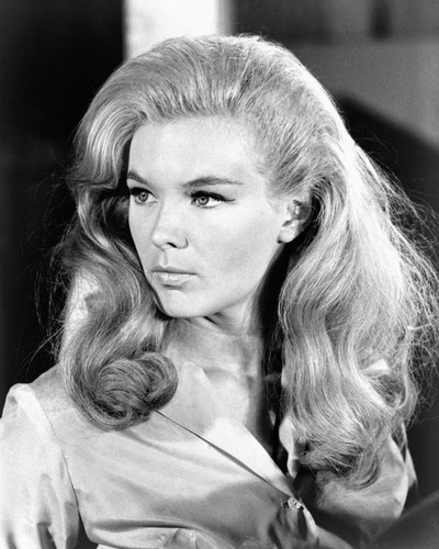 Picture of Linda Evans in The Big Valley