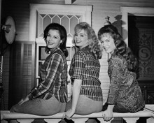 Picture of Petticoat Junction