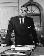 Picture of Raymond Burr in Perry Mason