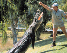 Picture of Steve Irwin in Crocodile Hunter