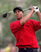 Picture of Tiger Woods