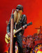 Picture of ZZ Top