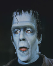Picture of Fred Gwynne in The Munsters