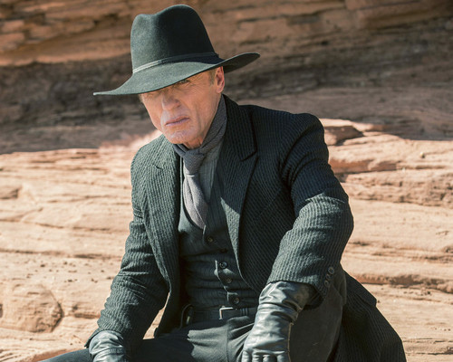 Picture of Ed Harris in Westworld