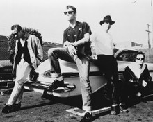 Picture of Social Distortion