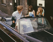 Picture of David Hemmings in Blowup