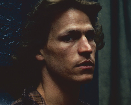 Picture of Michael Beck in The Warriors