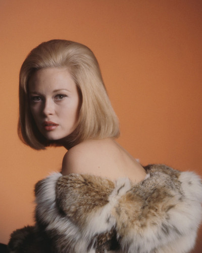 Picture of Faye Dunaway
