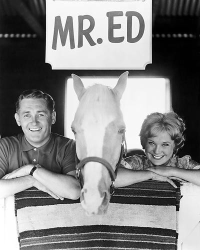 Picture of Mister Ed