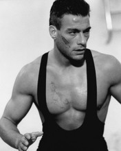 Picture of Jean-Claude Van Damme