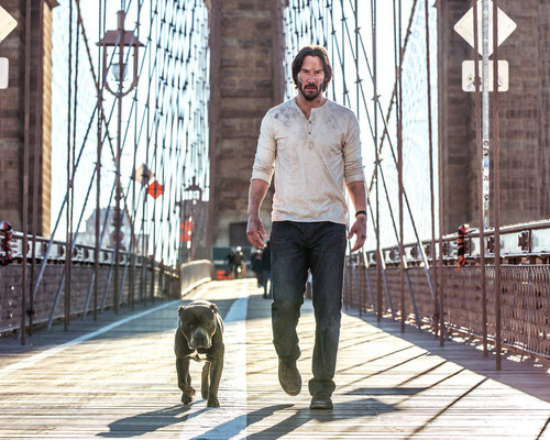 Picture of Keanu Reeves in John Wick: Chapter 2