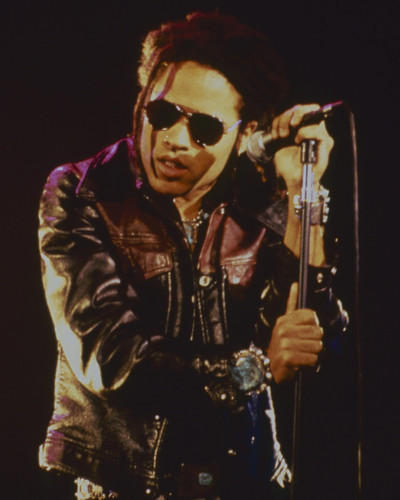 Picture of Lenny Kravitz