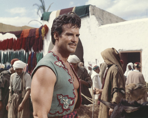 Picture of Steve Reeves in Il ladro di Bagdad