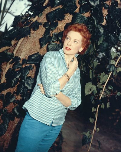 Picture of Deborah Kerr