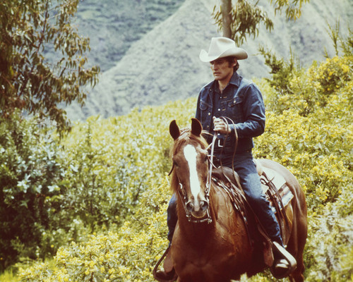 Picture of Dennis Hopper in The Last Movie