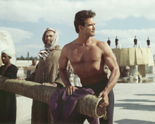 Picture of Steve Reeves