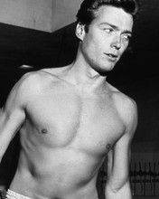 Picture of Clint Eastwood