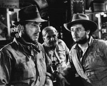 Picture of Treasure of the Sierra Madre
