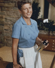 Picture of Ann B. Davis in The Brady Bunch