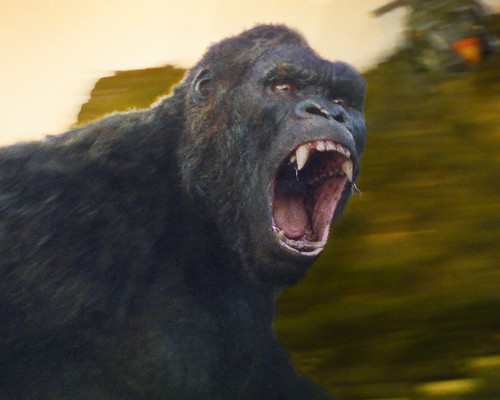 Picture of Kong: Skull Island