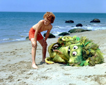 Picture of Johnny Whitaker in Sigmund and the Sea Monsters