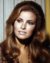 Picture of Raquel Welch