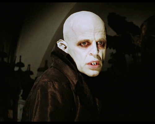 Picture of Klaus Kinski in Nosferatu: Phantom der Nacht