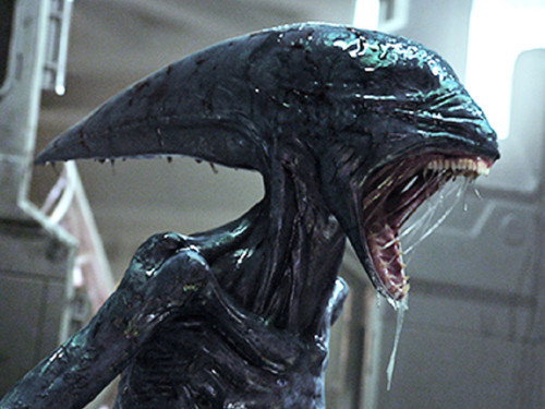 Picture of Alien: Covenant