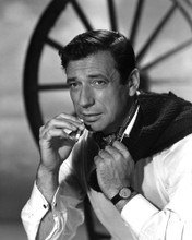 Picture of Yves Montand