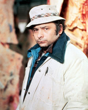 Picture of Burt Young in Rocky II