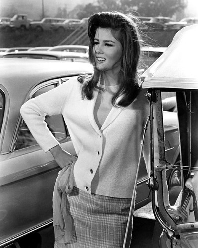Picture of Pamela Tiffin in The Lively Set