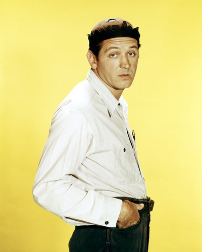 Picture of George Lindsey in The Andy Griffith Show
