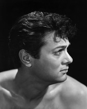 Picture of Tony Curtis in The Rat Race