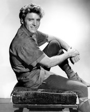 Picture of Burt Lancaster in The Flame and the Arrow