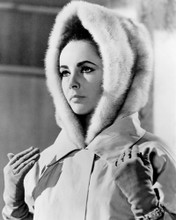 Picture of Elizabeth Taylor in The V.I.P.s