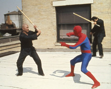 Picture of Nicholas Hammond in The Amazing Spider-Man