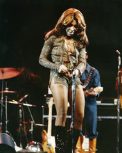 Picture of Tina Turner