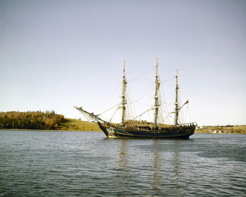 Picture of Mutiny on the Bounty