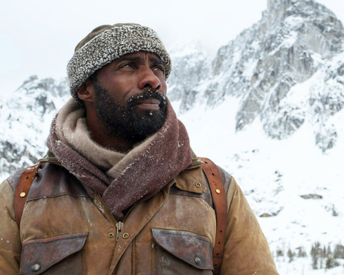 Picture of Idris Elba in The Mountain Between Us