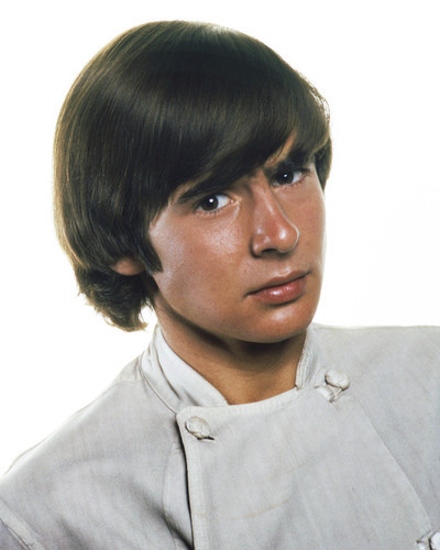 Picture of Davy Jones in The Monkees