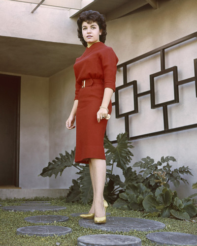 Picture of Annette Funicello