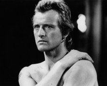 Picture of Rutger Hauer in Flesh+Blood