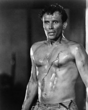 Picture of Peter Weller in A Killing Affair