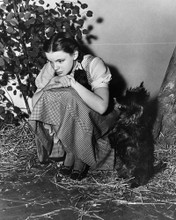 Picture of Judy Garland in The Wizard of Oz
