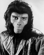 Picture of Roddy McDowall in Planet of the Apes