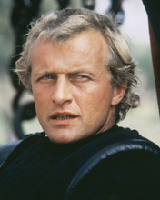Picture of Rutger Hauer in Ladyhawke