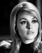 Picture of Sharon Tate in Eye of the Devil